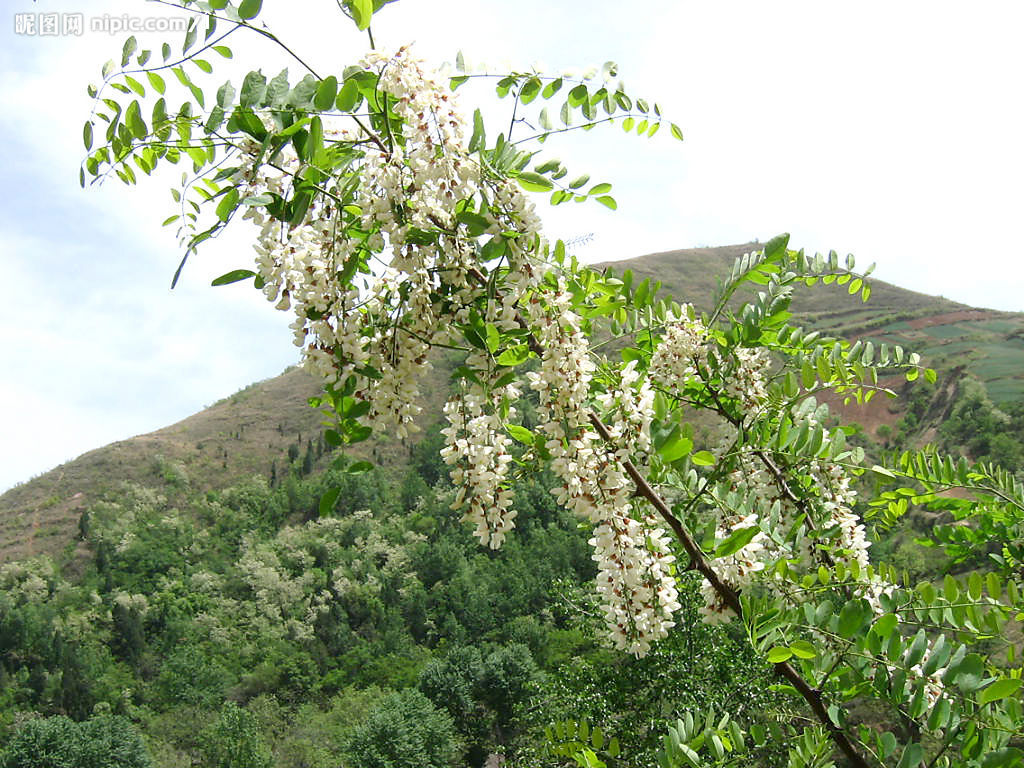 點(diǎn)擊查看源網(wǎng)頁(yè)